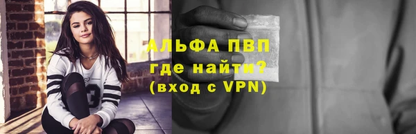 стаф Арсеньев