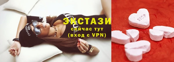 стаф Арсеньев