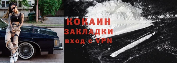 стаф Арсеньев
